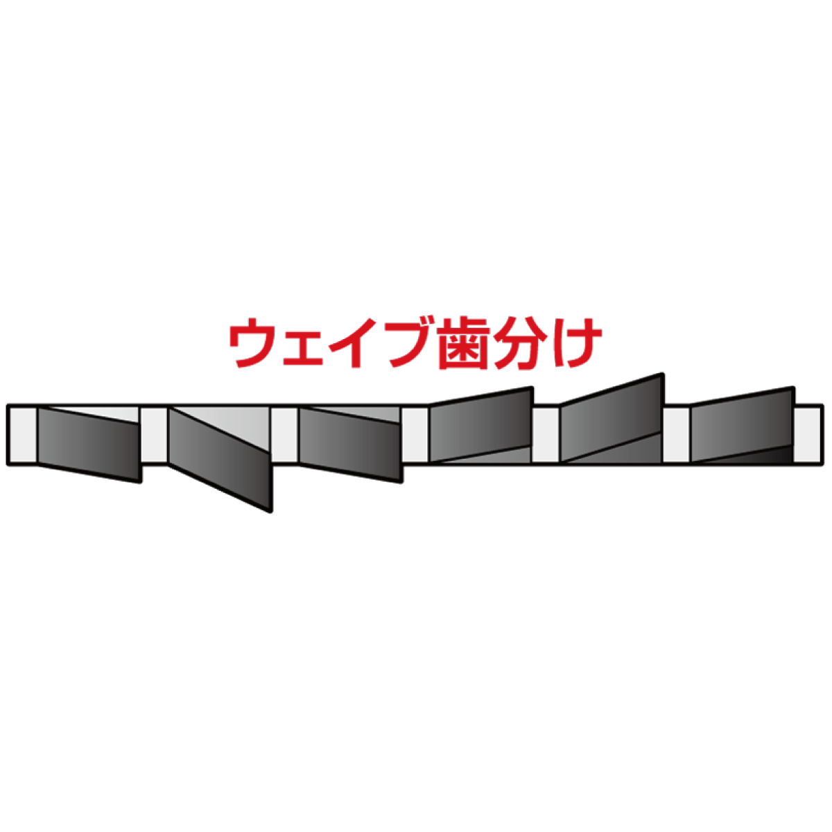 Bタイプ