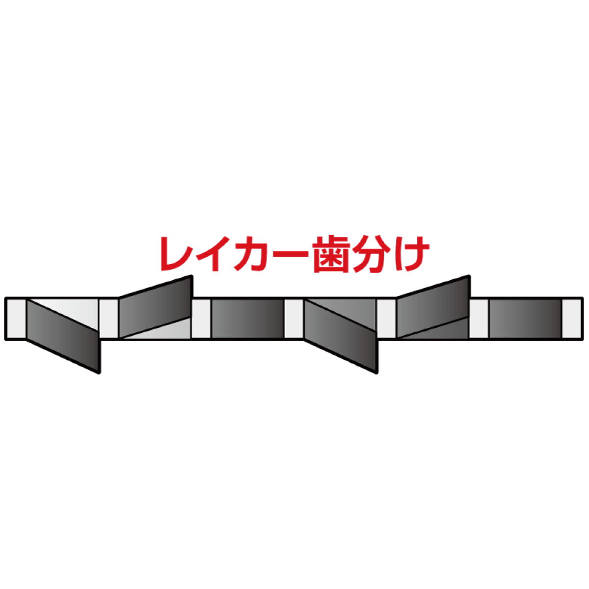 Bタイプ